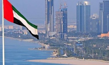 فايننشال تايمز: الدبلوماسية خيار الإمارات المقبل بعد الجائحة