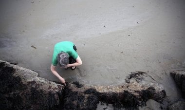 بالصور... ظاهرة الأقدام السوداء في أمريكا