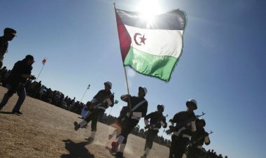 هل ترضخ أوروبا للضغوط المغربية بشأن قضية الصحراء الغربية؟