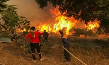 حركة رشاد الإخوانية وسياسة الأرض المحروقة في الجزائر... والمغرب على الخط