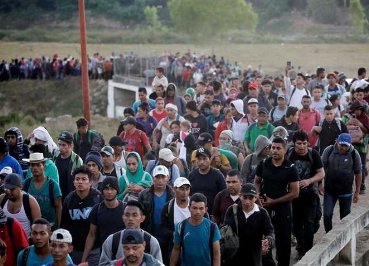 حرب عالمية.. 5 دول تتنافس لجذب المهاجرين من أصحاب المواهب بعد انتهاء كورونا