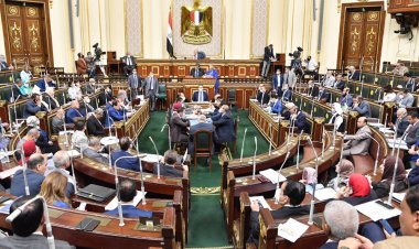 مصر.. تشريعات جديدة تكافح النماذج المستحدثة والأنماط الجديدة من الإرهاب