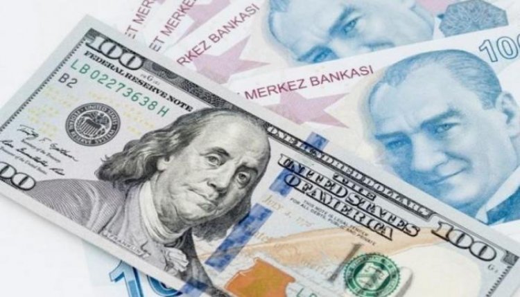 هل يستطيع وزير المالية التركي الجديد وقف نزف الليرة؟