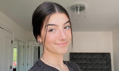 أبرزهم تشارلي.. ثروات نجوم تيك توك تتجاوز كبار المديرين التنفيذيين في العالم