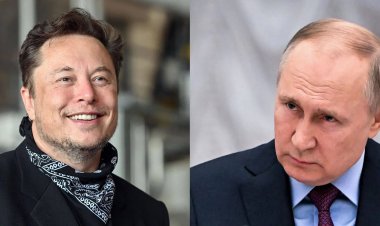 ماسك يتحدى بوتين في نزال مصارعة.. ورد صادم من زعيم الشيشان