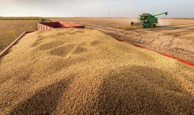 الهجوم الروسي على أوكرانيا... يشعل حربًا في الأسواق العالمية