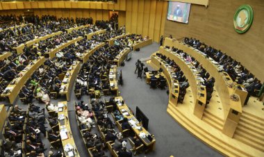 لماذا لا يدعم القادة الأفارقة موقف الغرب في أوكرانيا؟