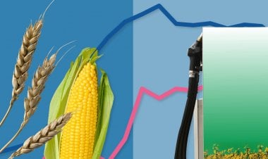 المجاعة أم الوقود الحيوي؟.. تساؤلات وجودية وخبراء يتحدثون عن الأزمة الأوكرانية