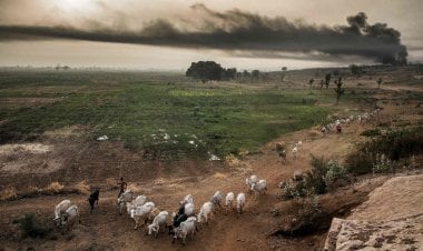 أمطار وفيضانات... وول ستريت: الطقس المتطرف يهدد ربع سكان العالم