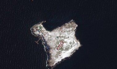 ماذا يعني فقدان جزيرة الأفعى بالنسبة لروسيا؟