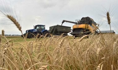 روسيا وأوكرانيا توقعان صفقة حبوب لتجنُّب أزمة الغذاء العالمية