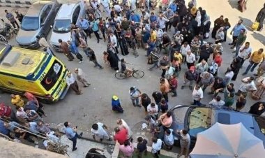 مقتل سلمى بهجت على يد زميلها.. تفاصيل جديدة في الجريمة التي هزت مصر