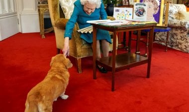 مويك وساندي... ما مصير كلبي الملكة إليزابيث؟