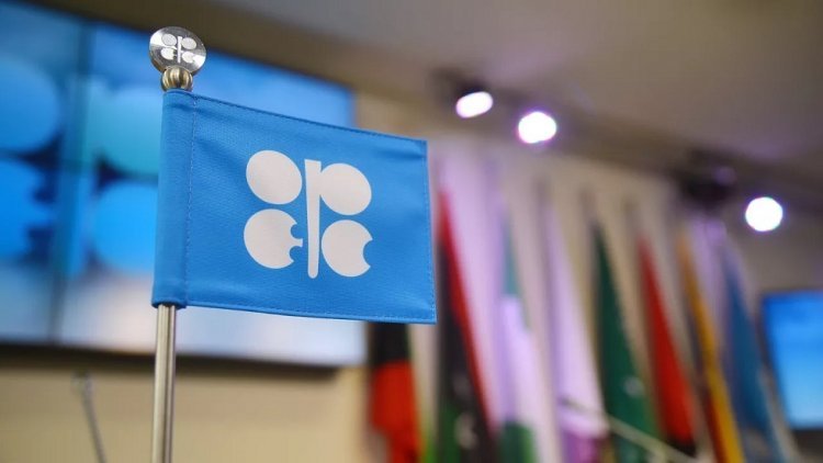 البيت الأبيض يتهم أوبك+ بالتحالف مع روسيا