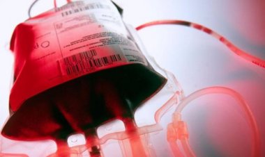 معجزة علمية.. الدم المصنوع  يتكيف في أجساد البشر