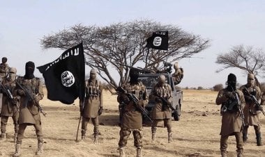 هل سمحت جهود أمريكا والتحالف الدولي في تفشي الإرهاب بإفريقيا؟