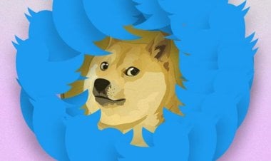 ارتفاع عملة دوغ كوين المشفرة بعد وضع شعارها على تويتر.. ما القصة؟