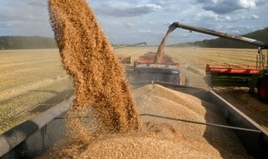 شح الدولار يضرب مدفوعات واردات القمح.. التجار يثقون بمصر ومحاولات للحل