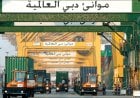 للتوسع شرقي إفريقيا.. موانئ دبي تتفاوض لإدارة 7 أرصفة بميناء في تنزانيا