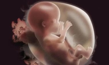 اختراق علمي مذهل.. اقتراب ولادة كائن بشري من دون بويضة ولا حيوان منوي