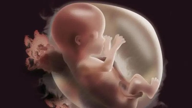 اختراق علمي مذهل.. اقتراب ولادة كائن بشري من دون بويضة ولا حيوان منوي