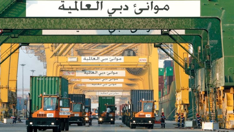 للتوسع شرقي إفريقيا.. موانئ دبي تتفاوض لإدارة 7 أرصفة بميناء في تنزانيا